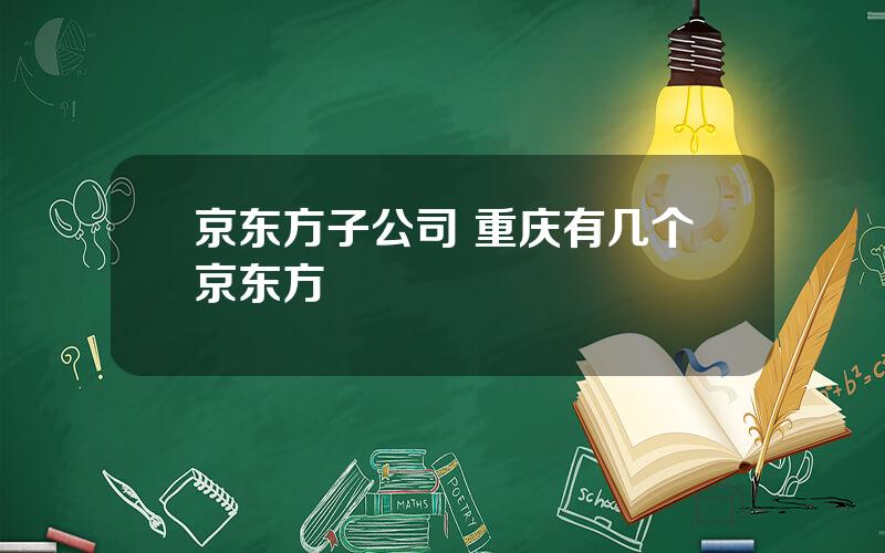 京东方子公司 重庆有几个京东方